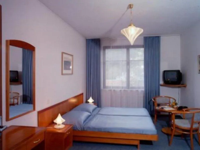 Hotel Dalimil Praga