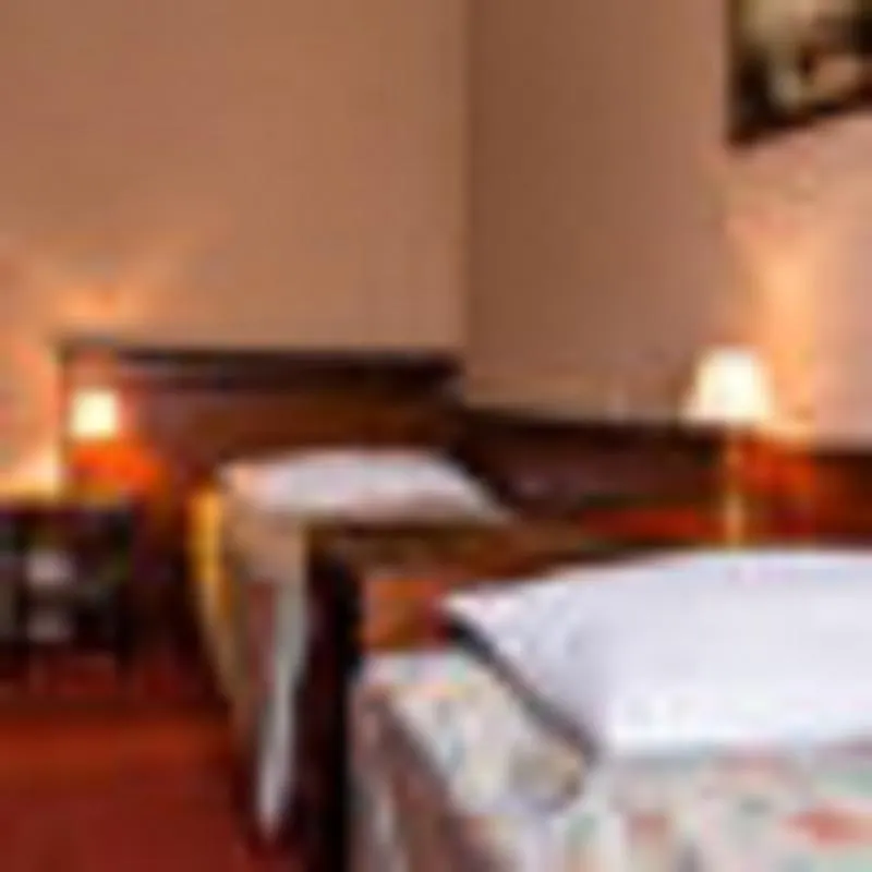 Hotel Dalimil Praga 3*,